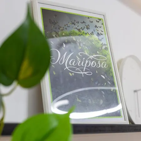 Mariposa Apartments Budapest Exterior photo