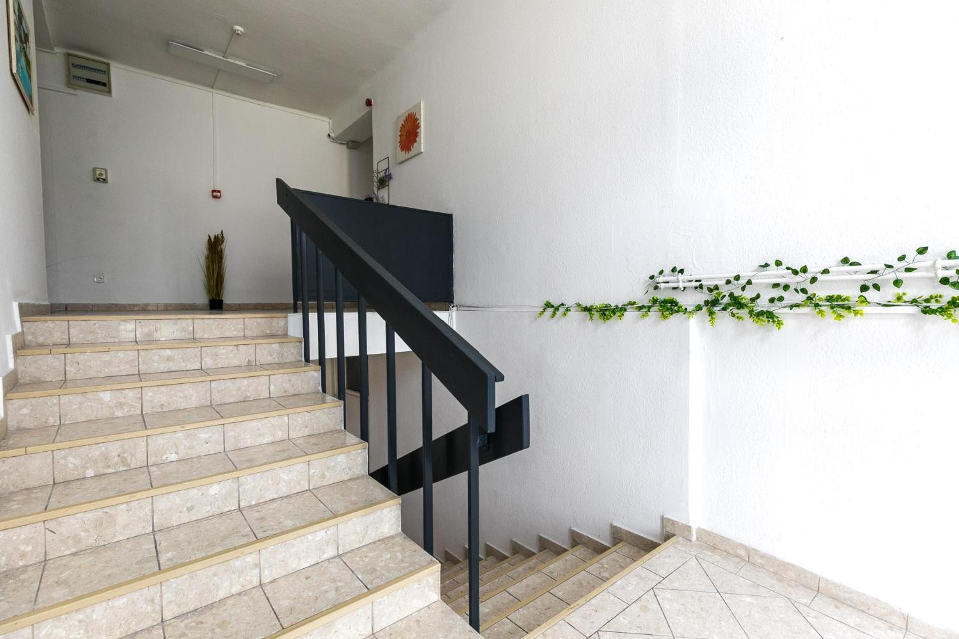 Apartmán Mariposa *
